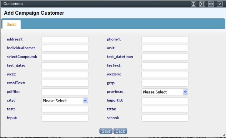 Customer Add Page