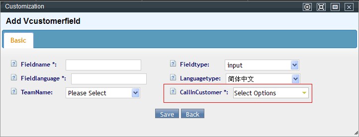 Add customize field for virtual customer